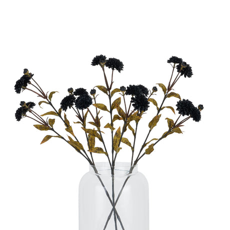 Black Chrysanthemum - Lacona Home 