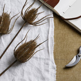 Frosted Pine Spray Stem With Pinecones - Lacona Home 