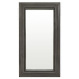 Lucia Collection Large Mirror - Lacona Home 