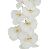 Tall White Butterfly Orchid Stem - Lacona Home 