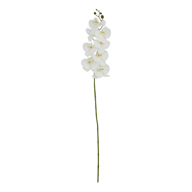 Tall White Butterfly Orchid Stem - Lacona Home 