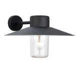 Lacona Fernwood 1Lt Outdoor Wall Light In Textured Black & Clear Glass Finish - Lacona Home 