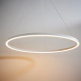 Manhattan 1Lt Indoor Pendant Light In Matt White Paint & White Silicone Finish