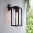 Lacona Havenwood 1Lt Outdoor Wall Light In Textured Black & Clear Glass Finish - Lacona Home 