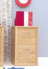 Mobel Oak Two Drawer Filing Cabinet