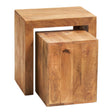 Toko Light Mango Cubed Nest Of 2 Tables - Lacona Home 