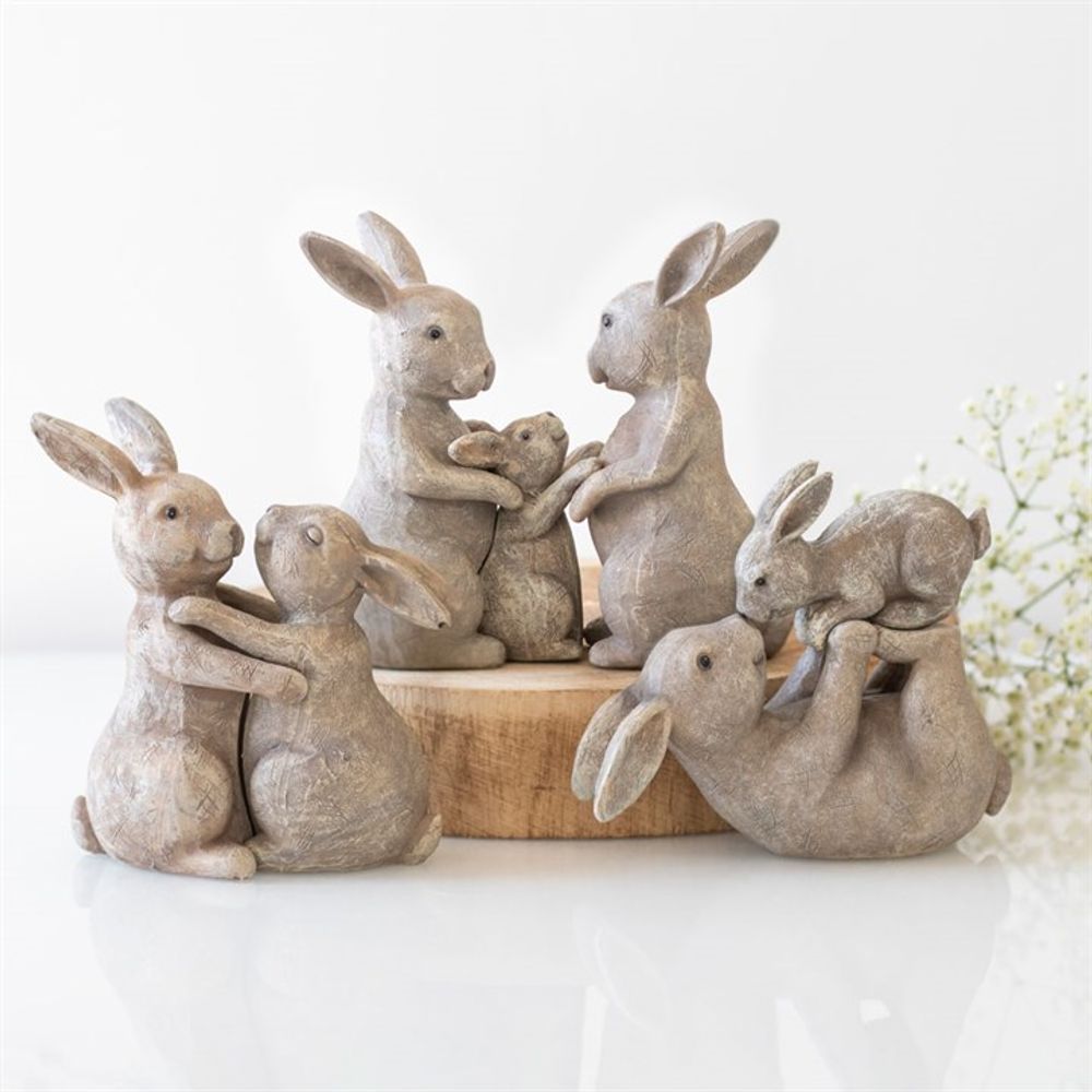 Some Bunny Loves You Ornament - Lacona Home 