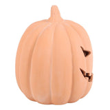 22cm Terracotta Pumpkin Ornament - Lacona Home 