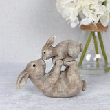 Some Bunny Loves You Ornament - Lacona Home 