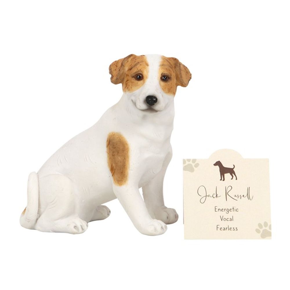 Jack Russell Terrier Dog Ornament - Lacona Home 