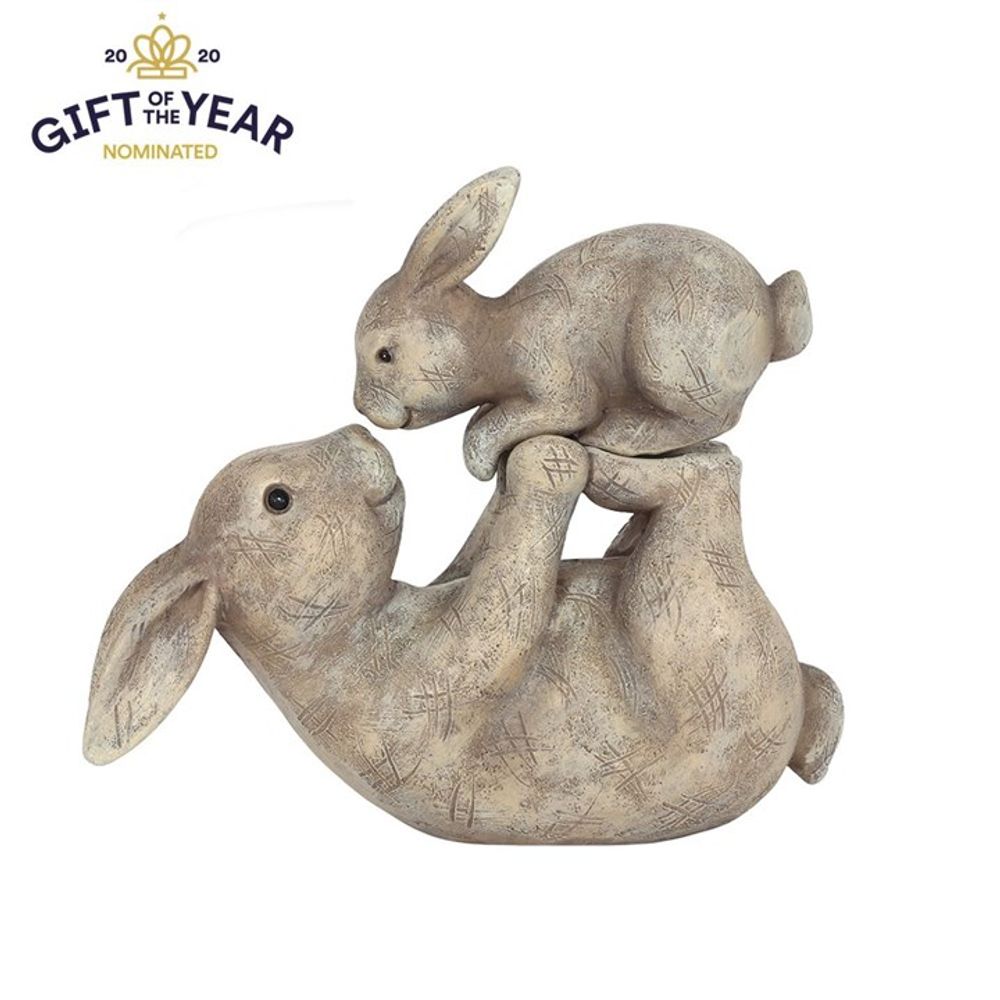 Some Bunny Loves You Ornament - Lacona Home 