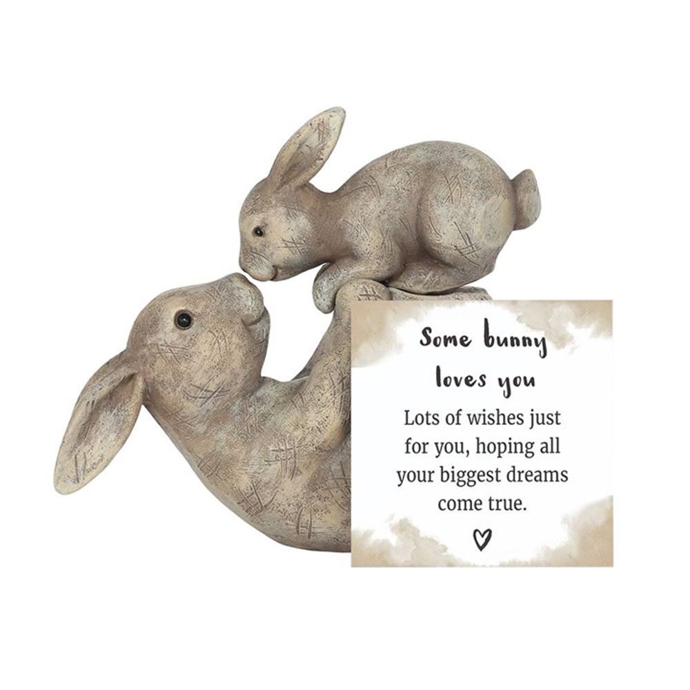 Some Bunny Loves You Ornament - Lacona Home 